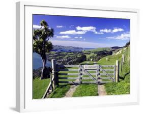 Gate and Cabbage Tree on Otago Peninsula, above MacAndrew Bay and Otago Harbor, New Zealand-David Wall-Framed Photographic Print
