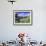 Gate and Cabbage Tree on Otago Peninsula, above MacAndrew Bay and Otago Harbor, New Zealand-David Wall-Framed Photographic Print displayed on a wall