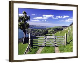 Gate and Cabbage Tree on Otago Peninsula, above MacAndrew Bay and Otago Harbor, New Zealand-David Wall-Framed Photographic Print