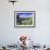 Gate and Cabbage Tree on Otago Peninsula, above MacAndrew Bay and Otago Harbor, New Zealand-David Wall-Framed Photographic Print displayed on a wall