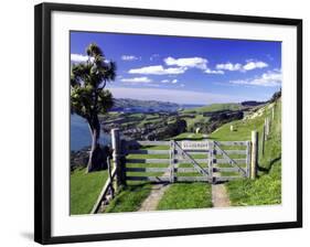 Gate and Cabbage Tree on Otago Peninsula, above MacAndrew Bay and Otago Harbor, New Zealand-David Wall-Framed Photographic Print