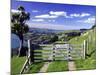 Gate and Cabbage Tree on Otago Peninsula, above MacAndrew Bay and Otago Harbor, New Zealand-David Wall-Mounted Photographic Print