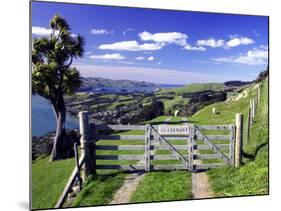 Gate and Cabbage Tree on Otago Peninsula, above MacAndrew Bay and Otago Harbor, New Zealand-David Wall-Mounted Photographic Print