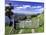 Gate and Cabbage Tree on Otago Peninsula, above MacAndrew Bay and Otago Harbor, New Zealand-David Wall-Mounted Photographic Print