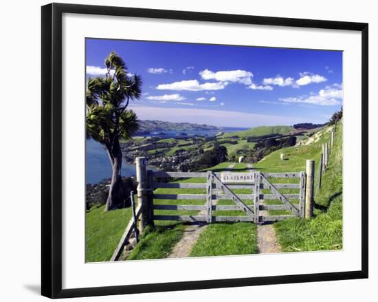 Gate and Cabbage Tree on Otago Peninsula, New Zealand-David Wall-Framed Photographic Print