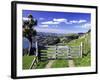 Gate and Cabbage Tree on Otago Peninsula, New Zealand-David Wall-Framed Photographic Print