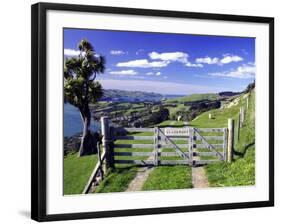 Gate and Cabbage Tree on Otago Peninsula, New Zealand-David Wall-Framed Photographic Print