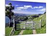 Gate and Cabbage Tree on Otago Peninsula, New Zealand-David Wall-Mounted Photographic Print