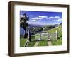 Gate and Cabbage Tree on Otago Peninsula, New Zealand-David Wall-Framed Photographic Print