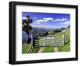Gate and Cabbage Tree on Otago Peninsula, New Zealand-David Wall-Framed Photographic Print