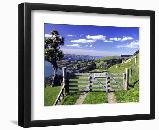 Gate and Cabbage Tree on Otago Peninsula, New Zealand-David Wall-Framed Photographic Print