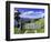 Gate and Cabbage Tree on Otago Peninsula, New Zealand-David Wall-Framed Photographic Print