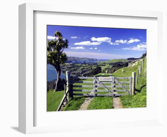 Gate and Cabbage Tree on Otago Peninsula, New Zealand-David Wall-Framed Photographic Print