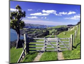 Gate and Cabbage Tree on Otago Peninsula, New Zealand-David Wall-Mounted Photographic Print