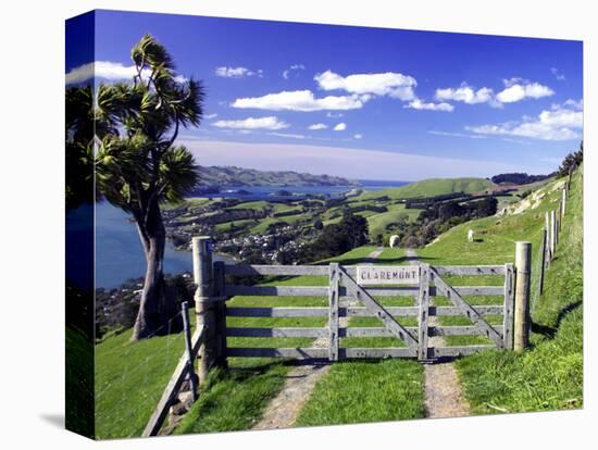 Gate and Cabbage Tree on Otago Peninsula, New Zealand-David Wall-Stretched Canvas