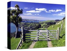 Gate and Cabbage Tree on Otago Peninsula, New Zealand-David Wall-Stretched Canvas