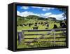 Gate and Dairy Farm near Kaikohe, Northland, New Zealand-David Wall-Framed Stretched Canvas