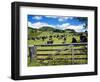 Gate and Dairy Farm near Kaikohe, Northland, New Zealand-David Wall-Framed Photographic Print