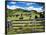 Gate and Dairy Farm near Kaikohe, Northland, New Zealand-David Wall-Framed Photographic Print