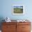 Gate and Dairy Farm near Kaikohe, Northland, New Zealand-David Wall-Framed Photographic Print displayed on a wall