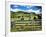 Gate and Dairy Farm near Kaikohe, Northland, New Zealand-David Wall-Framed Photographic Print