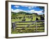 Gate and Dairy Farm near Kaikohe, Northland, New Zealand-David Wall-Framed Photographic Print