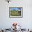 Gate and Dairy Farm near Kaikohe, Northland, New Zealand-David Wall-Framed Photographic Print displayed on a wall