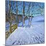 Gate and Trees,Winter, Dam Lane, Derbyshire, 2013-Andrew Macara-Mounted Giclee Print
