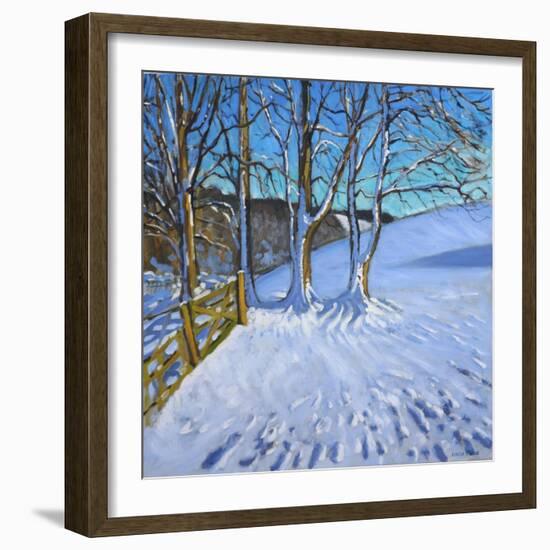 Gate and Trees,Winter, Dam Lane, Derbyshire, 2013-Andrew Macara-Framed Giclee Print