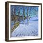 Gate and Trees,Winter, Dam Lane, Derbyshire, 2013-Andrew Macara-Framed Giclee Print