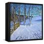Gate and Trees,Winter, Dam Lane, Derbyshire, 2013-Andrew Macara-Framed Stretched Canvas