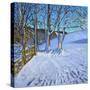 Gate and Trees,Winter, Dam Lane, Derbyshire, 2013-Andrew Macara-Stretched Canvas