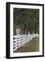 Gate and white wooden fence and overhanging trees, Shaker Village of Pleasant Hill, Harrodsburg, KY-Adam Jones-Framed Photographic Print