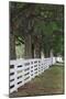 Gate and white wooden fence and overhanging trees, Shaker Village of Pleasant Hill, Harrodsburg, KY-Adam Jones-Mounted Photographic Print