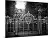 Gate at Buckingham Palace - Green Park - London - UK - England - United Kingdom - Europe-Philippe Hugonnard-Mounted Photographic Print