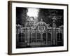 Gate at Buckingham Palace - Green Park - London - UK - England - United Kingdom - Europe-Philippe Hugonnard-Framed Photographic Print