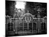 Gate at Buckingham Palace - Green Park - London - UK - England - United Kingdom - Europe-Philippe Hugonnard-Mounted Photographic Print