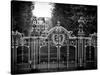 Gate at Buckingham Palace - Green Park - London - UK - England - United Kingdom - Europe-Philippe Hugonnard-Stretched Canvas