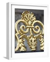 Gate detail, Paris, France-William Sutton-Framed Photographic Print