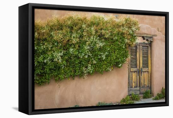 Gate II-Kathy Mahan-Framed Stretched Canvas