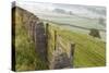 Gate in Stone Wall and Field-Miles Ertman-Stretched Canvas