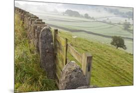 Gate in Stone Wall and Field-Miles Ertman-Mounted Photographic Print
