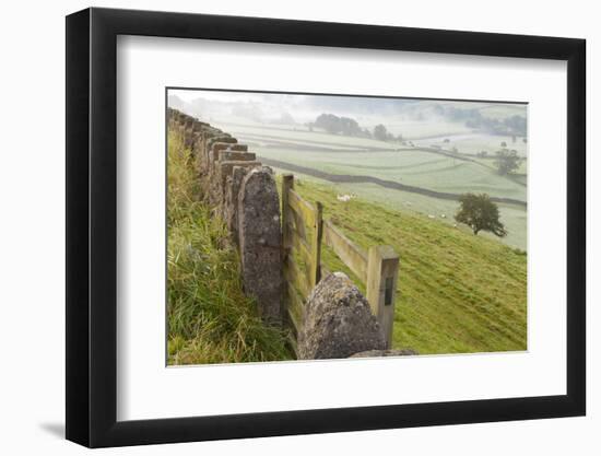 Gate in Stone Wall and Field-Miles Ertman-Framed Photographic Print