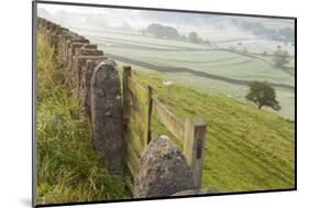 Gate in Stone Wall and Field-Miles Ertman-Mounted Photographic Print