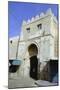 Gate in the City Walls, Sfax, Tunisia-Vivienne Sharp-Mounted Photographic Print