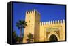 Gate Near King's Palace, Fez, Morocco, North Africa, Africa-Neil-Framed Stretched Canvas