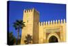 Gate Near King's Palace, Fez, Morocco, North Africa, Africa-Neil-Stretched Canvas