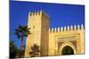 Gate Near King's Palace, Fez, Morocco, North Africa, Africa-Neil-Mounted Photographic Print