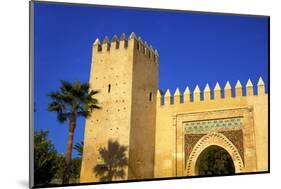 Gate Near King's Palace, Fez, Morocco, North Africa, Africa-Neil-Mounted Photographic Print