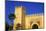 Gate Near King's Palace, Fez, Morocco, North Africa, Africa-Neil-Mounted Photographic Print